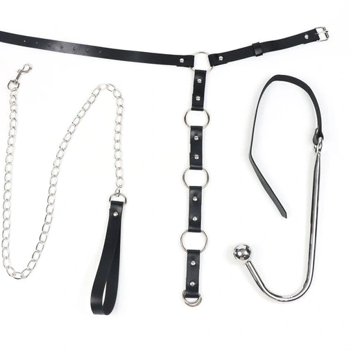 Anal Hooks Kinky Hook 5853 EverydayUse and Collar with Anal Leash 1006